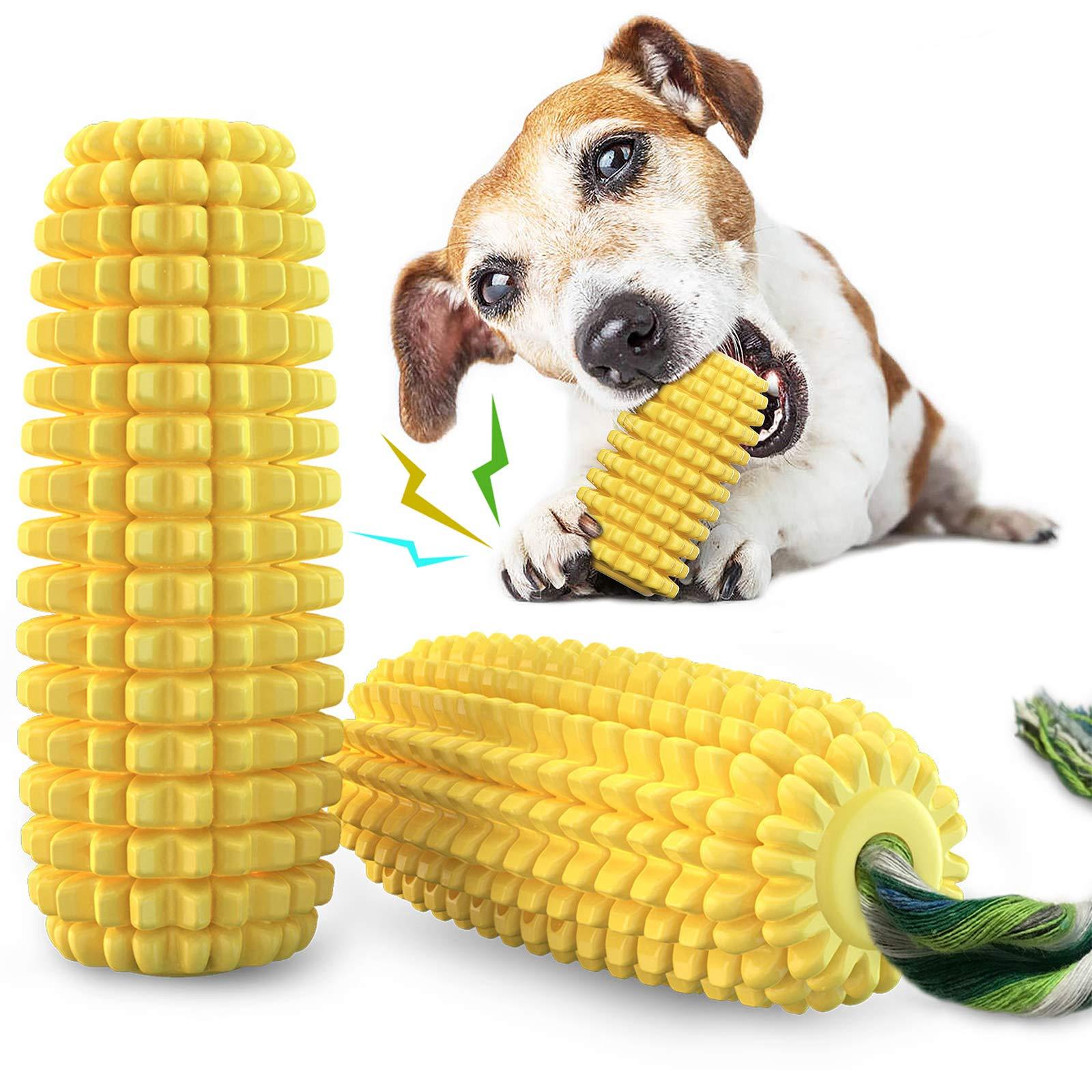 Understanding Your Dogs Chewing Habits