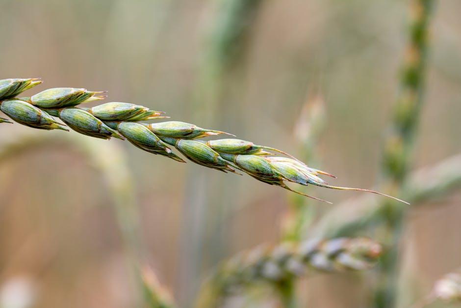 Expert Tips for Choosing the Best Gluten Free Dog Food