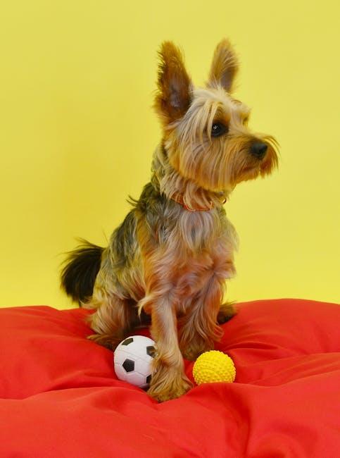 Identifying Toys That May Trigger Undesirable Actions