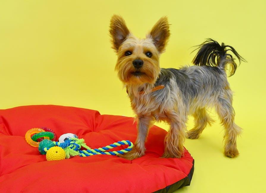 Top Picks for Chew Toys That Delight Small Breeds