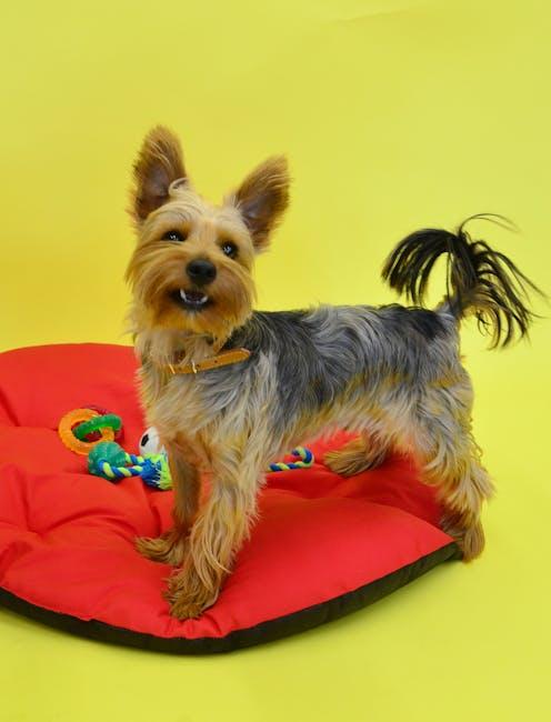 Top Recommended Floating Toys for Every Breed and Size