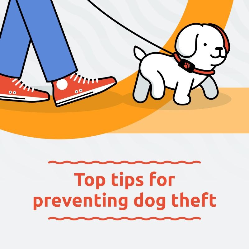 Community Awareness: Building a Network to Keep Pets Safe