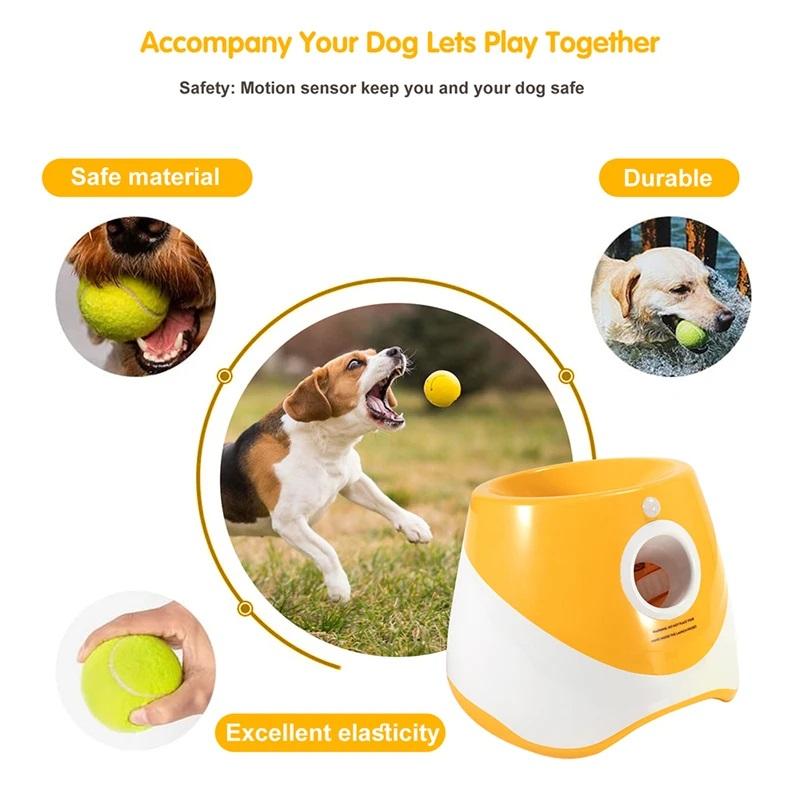 Exploring Durable Materials for Long-Lasting Fun