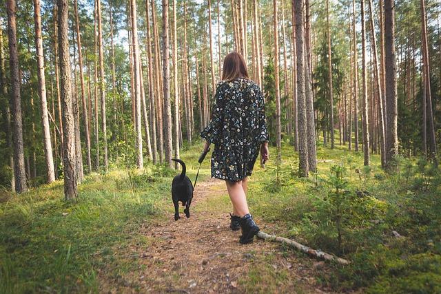 Choosing the Right Equipment for Comfortable Walks