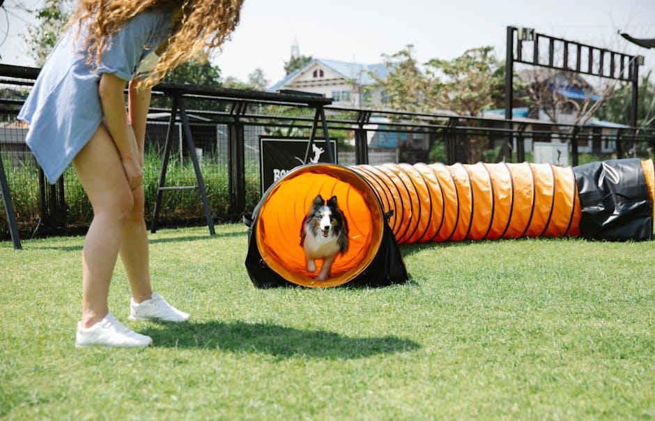 Understanding Positive Reinforcement in Dog Training