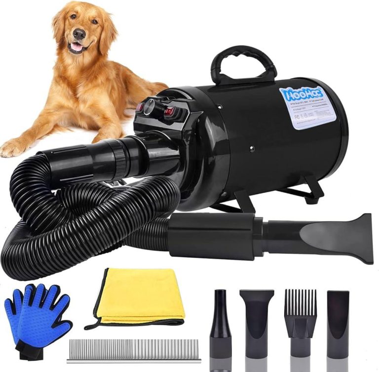 Is Blow Drying Safe for Dogs