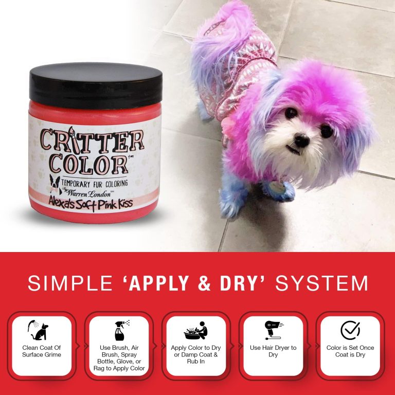 Is It Ethical to Color a Dog’s Fur