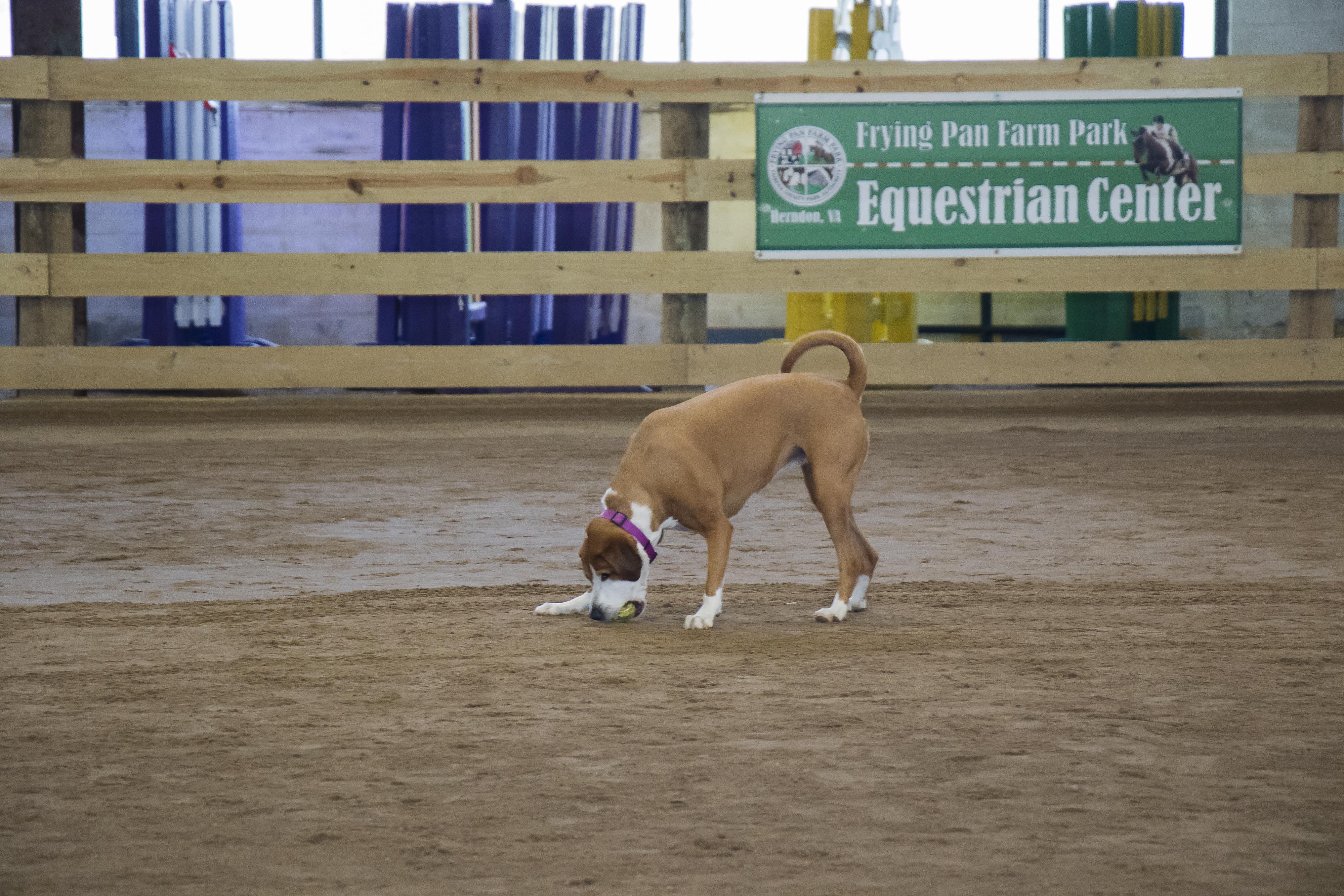 Building Trust and Understanding the Basics