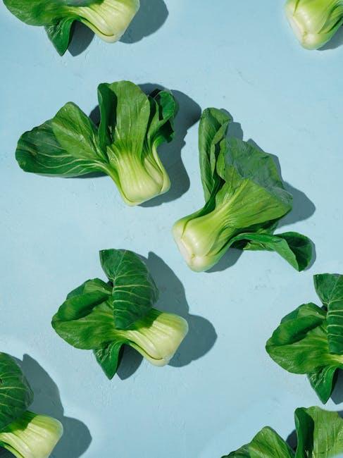 Can a plant based diet provide enough protein for dogs
