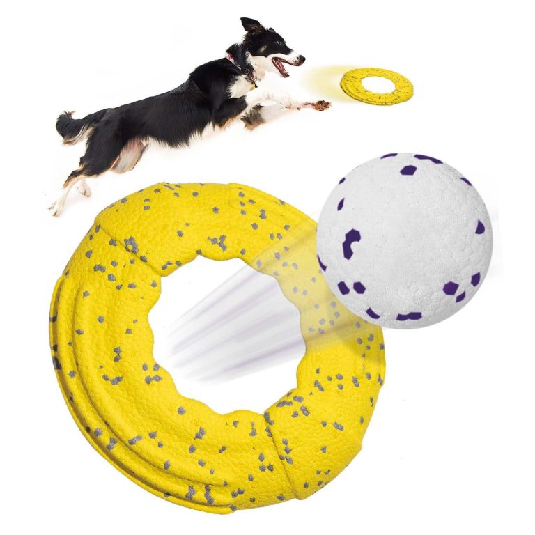 Best Toys for Dogs that Love to Fetch