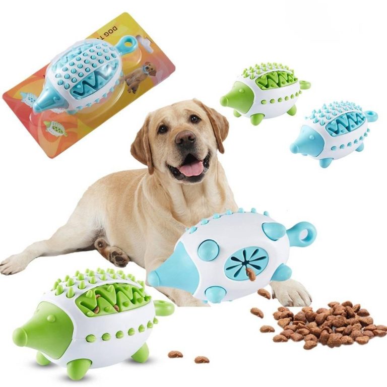 The Best Training Toys for Dogs