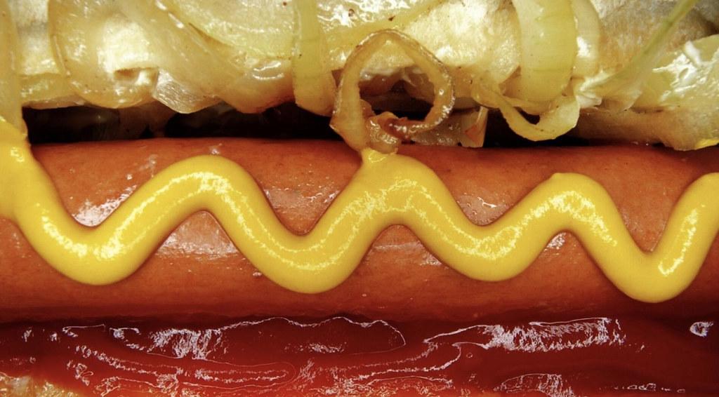 Identifying When Gluten Free is Right for Your Dog