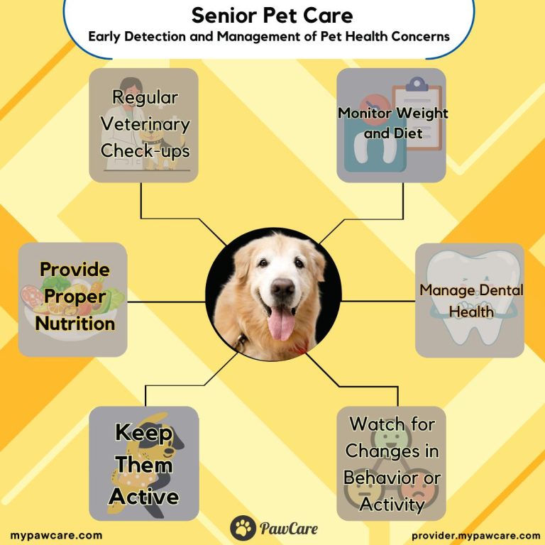 Grooming Tips for Senior Dogs