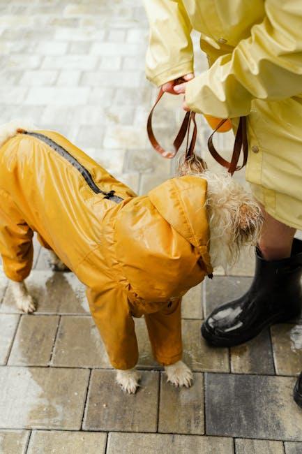How to Safeguard Your Dog from Wild Animals