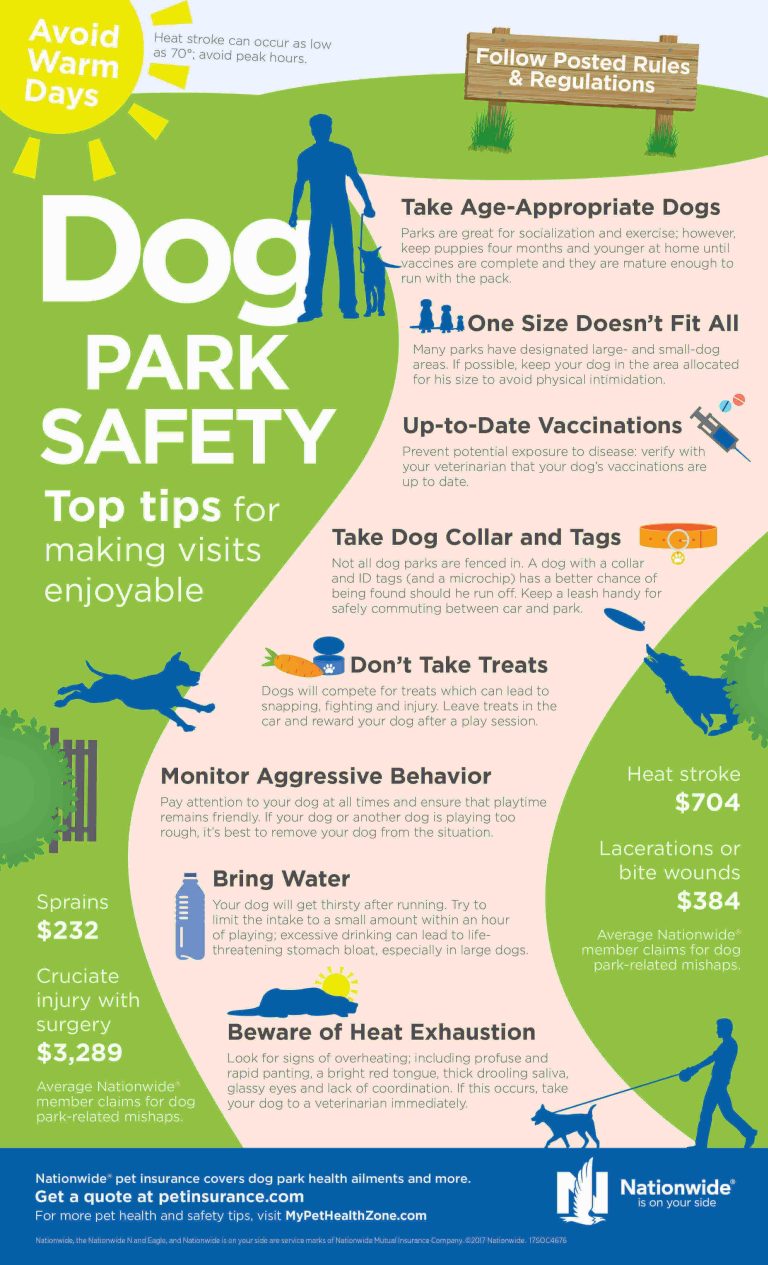 How to keep your dog safe in busy urban areas