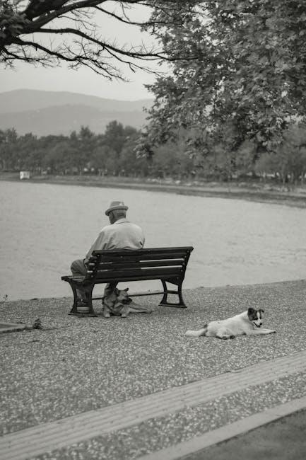 Best Practices for Feeding Senior Dogs