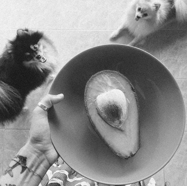 Is Raw Feeding Safe for Dogs