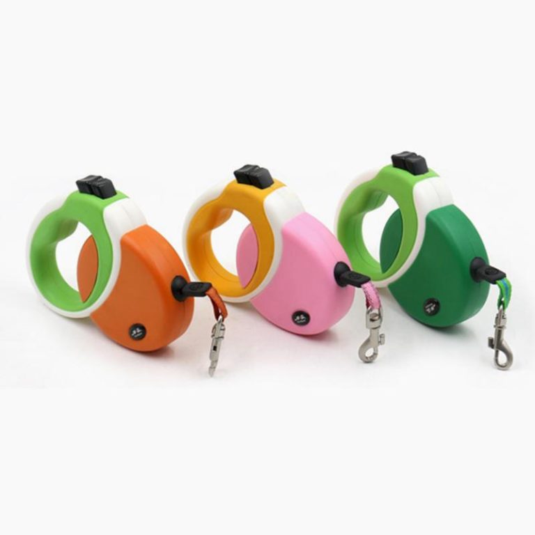 Is It Safe to Use Retractable Leashes