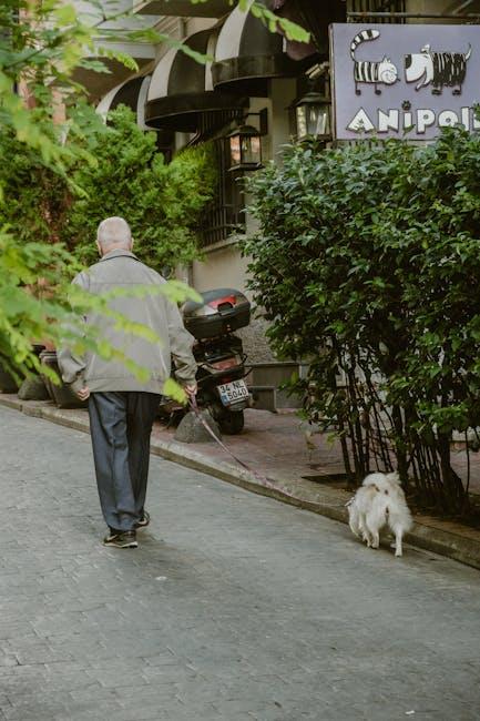 How to Safely Exercise a Senior Dog