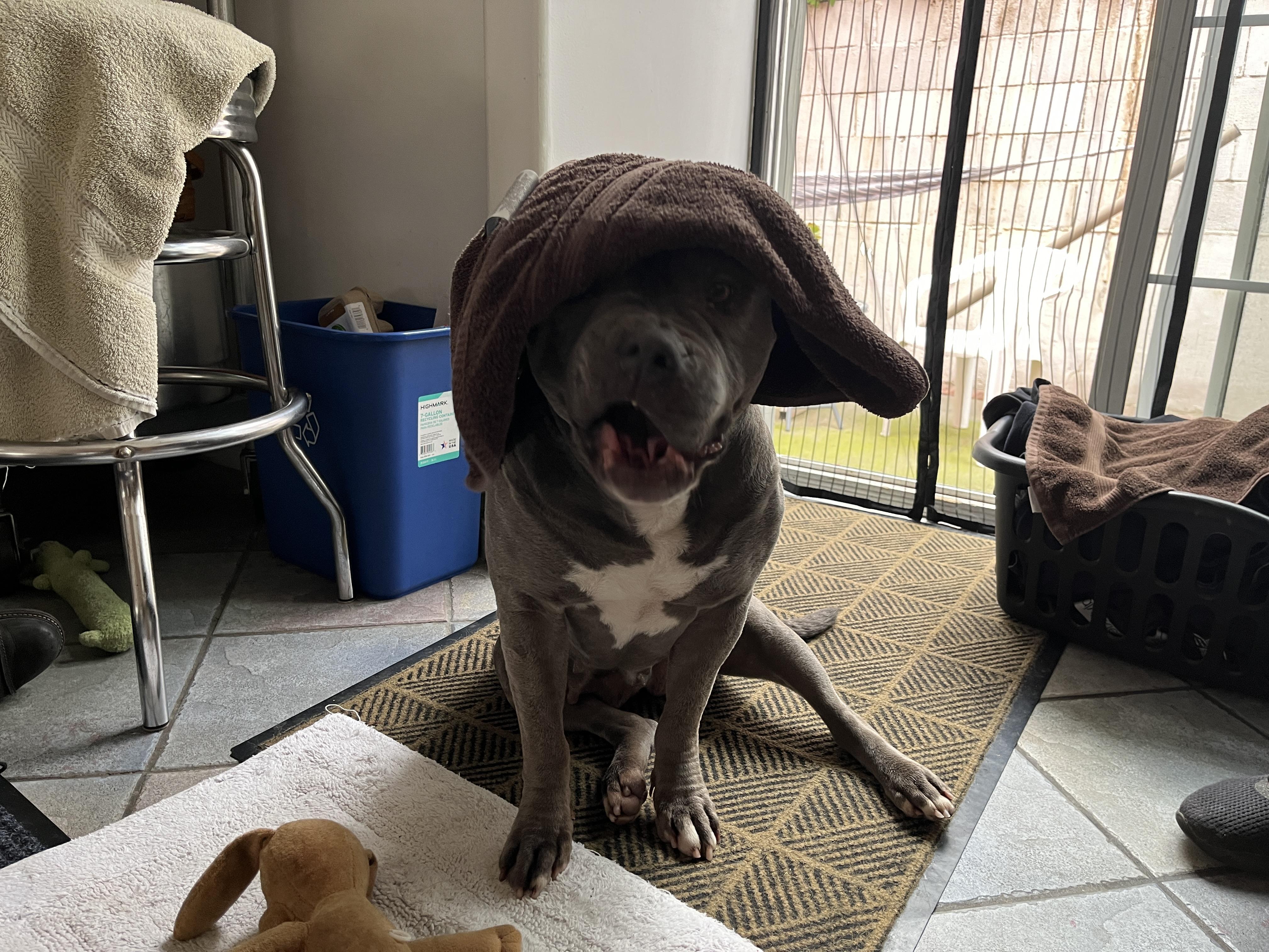 Mastering the Art of Towel Drying with Gentle Techniques