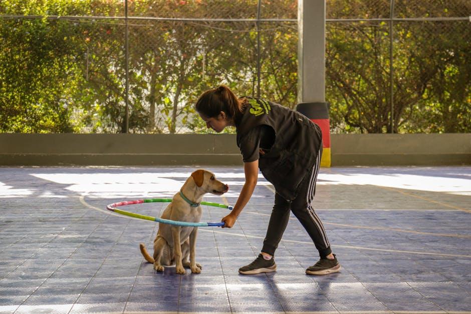 Tailoring a Routine that​ Fits Both You and Your Dog