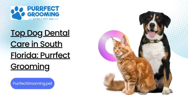 The Best Ways to Clean Your Dog’s Teeth Without Brushing