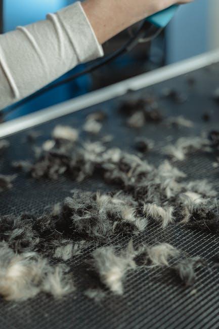 Best grooming tools for shedding dogs