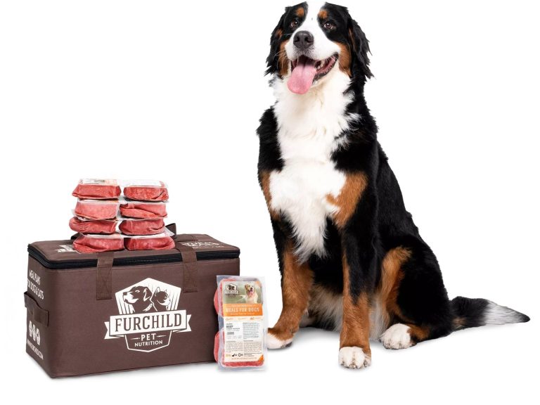 Best Foods for Dogs with Sensitive Stomachs