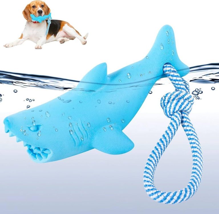 Best floating toys for dogs who love water