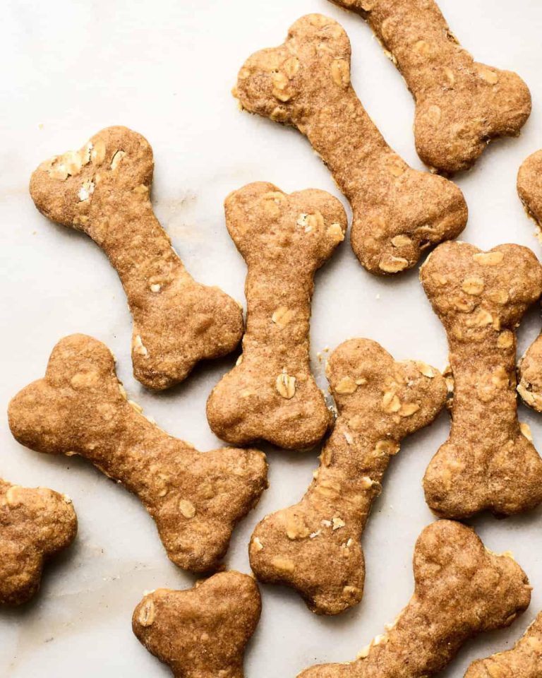 Are Dog Treats Causing Obesity