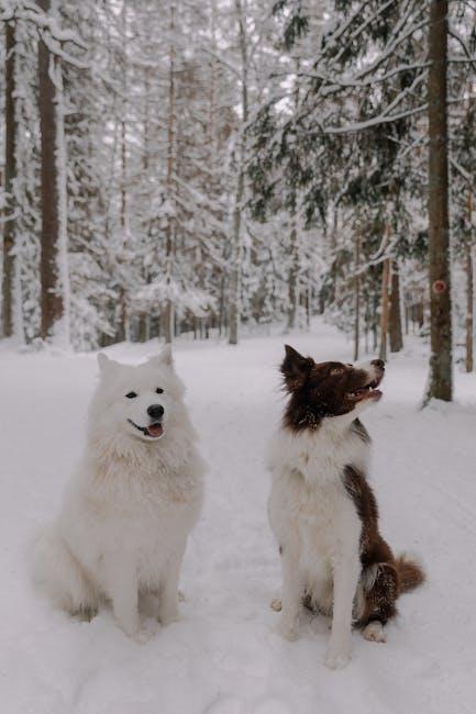 Exploring Nature Trails and Parks with Your Furry Friend