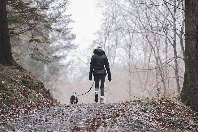 Essential Safety Gear for Hiking with Dogs