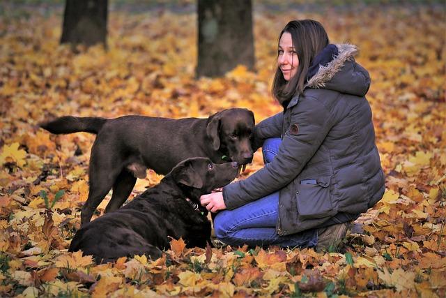 How to Choose the Right Dog Trainer