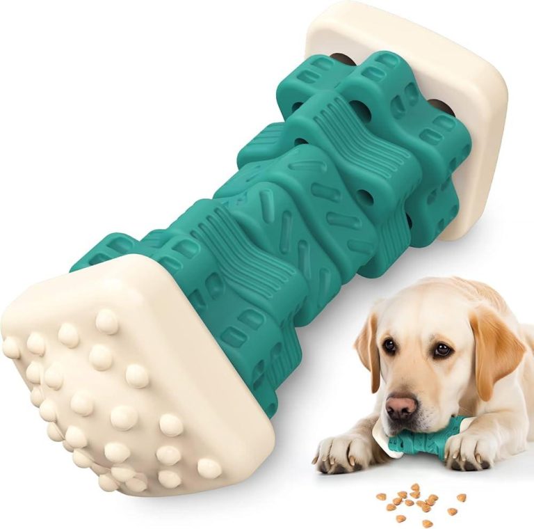 Safe Dog Toys for Puppies