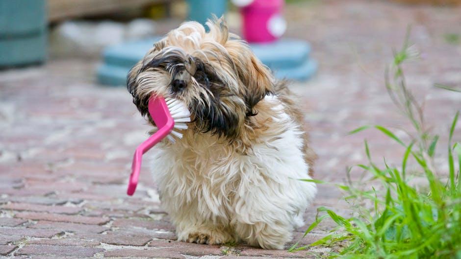 Gentle Grooming Techniques to Prevent Irritation