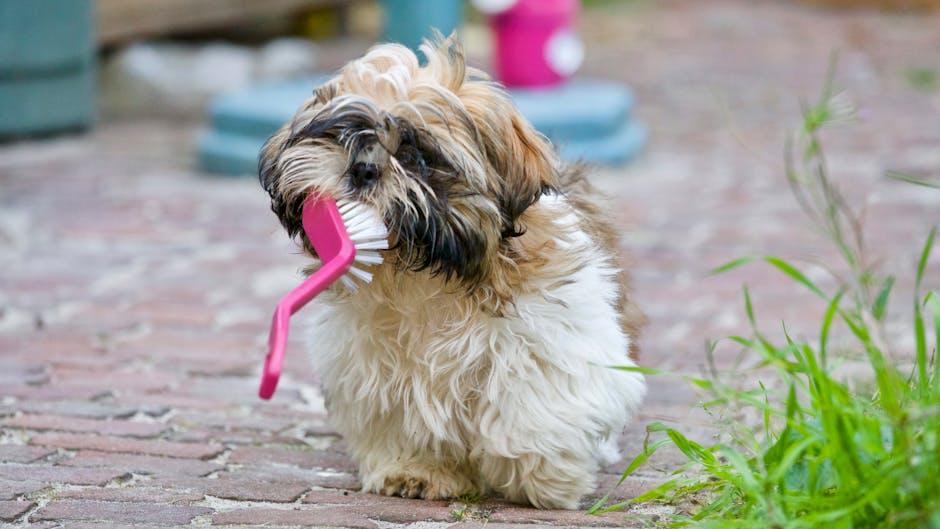 Brushing Techniques to Reduce Shedding and Heat