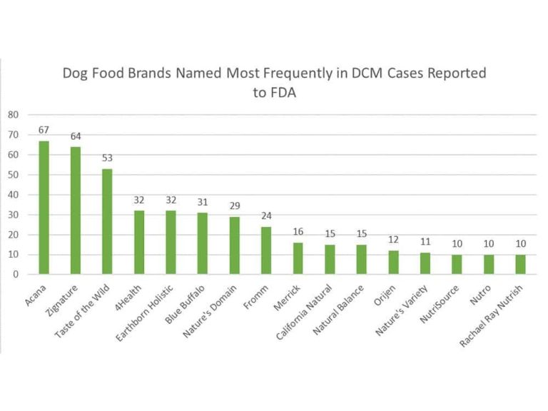 Best dog food brands for dogs with heart conditions