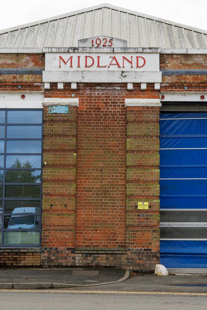 How to Deal with Shedding: Tips for All Seasons