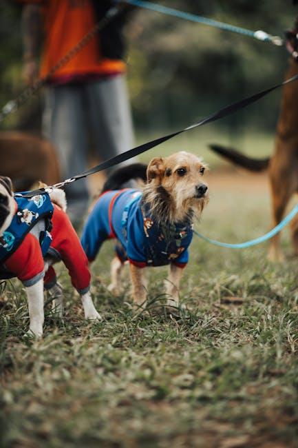 Preventing dog bites with proper socialization