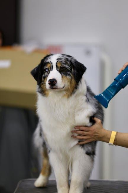 Choosing the Right⁢ Blow Dryer for Your Furry Friend