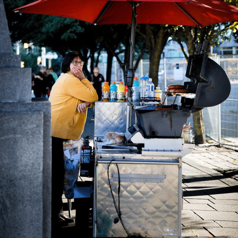 Can certain dog foods reduce inflammation in dogs