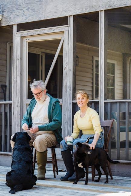 Understanding Your Senior Dogs Needs