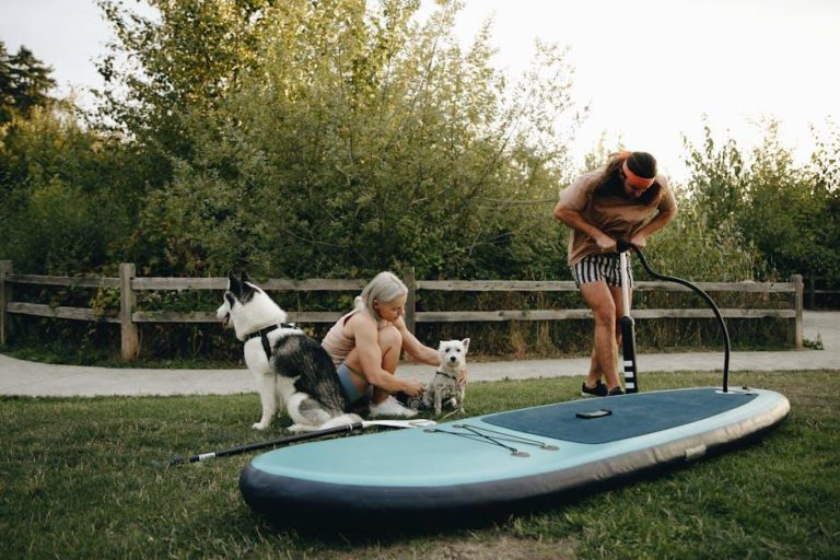 Fun Outdoor Activities for You and Your Dog