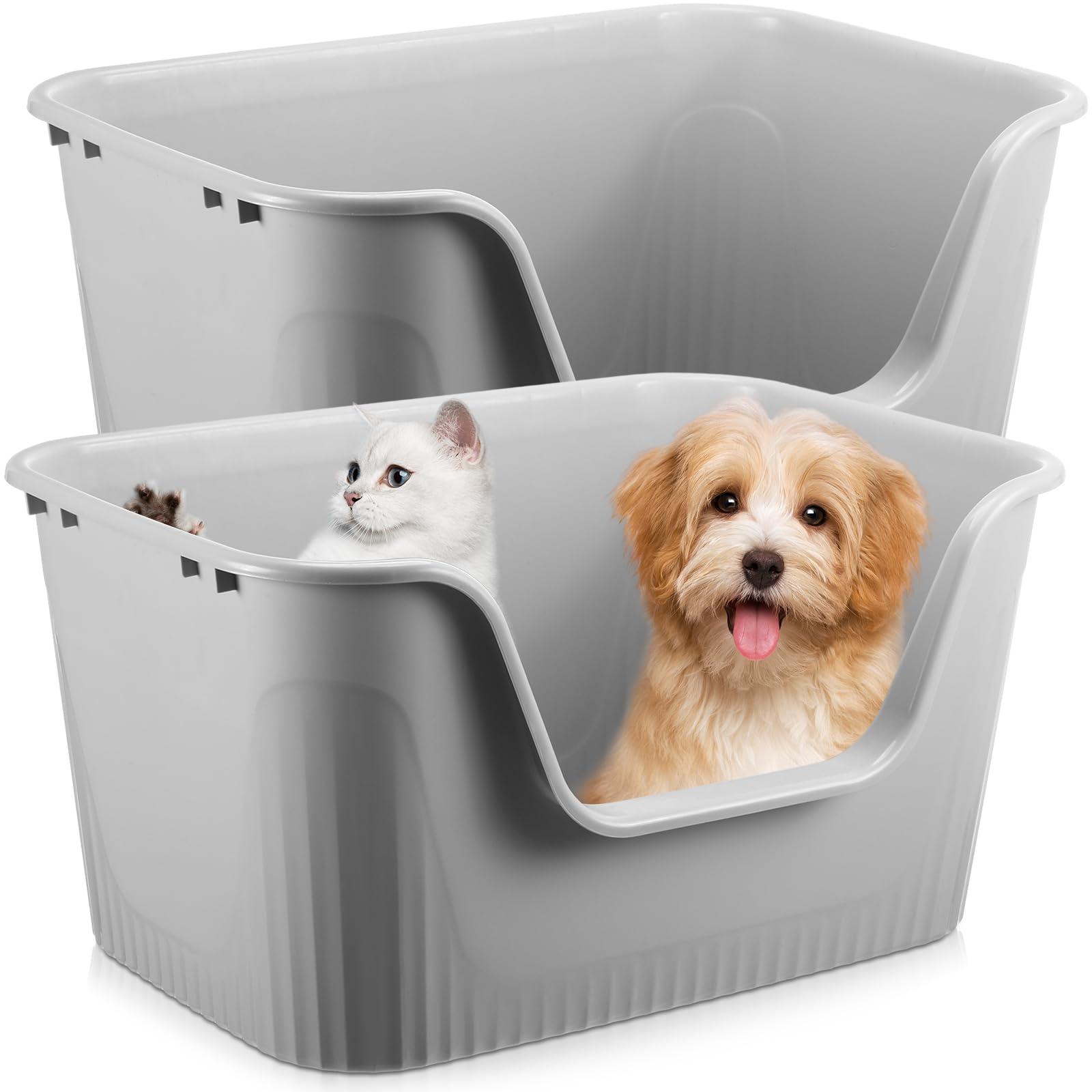 Step-by-Step ​Guide to‍ Introducing ⁤Your Dog ⁣to the⁢ Litter ​Box