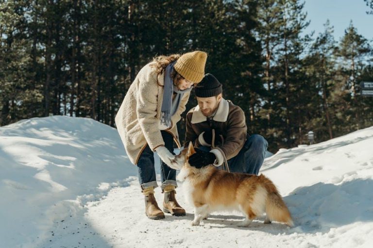 Best grooming tips for dogs with thick coats