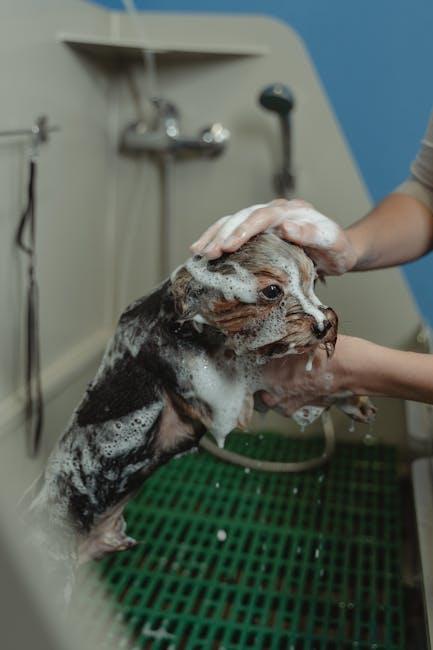 Daily Routines to Keep Your Dog’s Hair Smooth and Tangle-Free