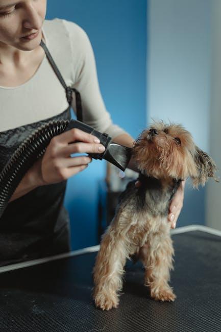 Essential Tools⁤ for a ⁣Puppy-Friendly Grooming ⁤Kit