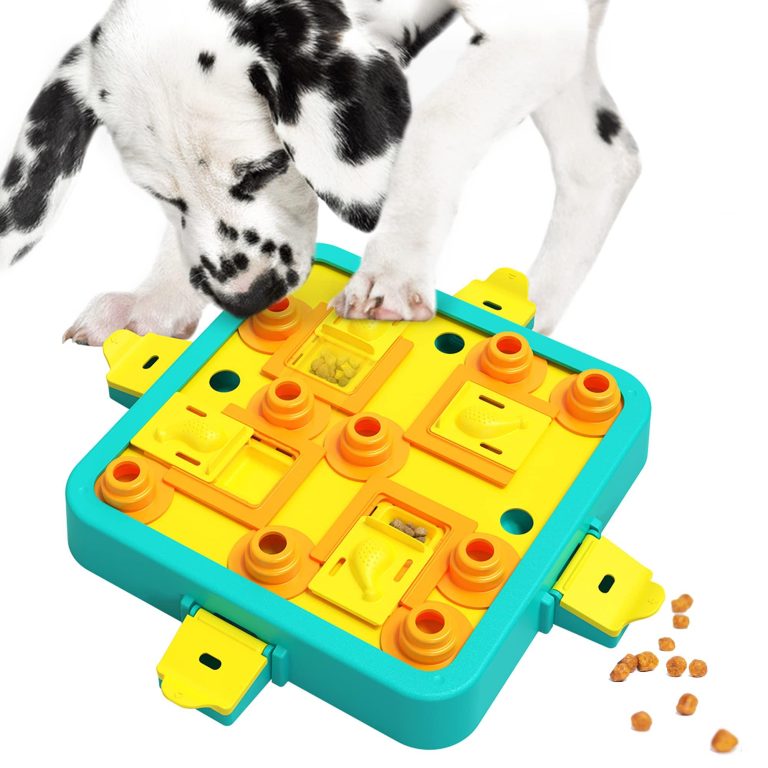 How to Make Playtime Educational for Your Dog