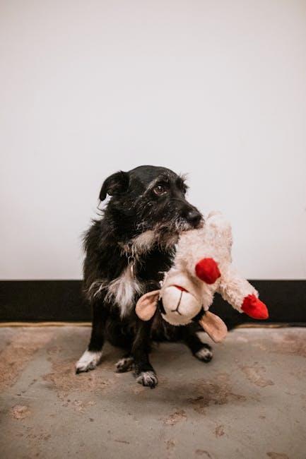 Choosing⁤ the Right Toys to Redirect Your Dogs Chewing