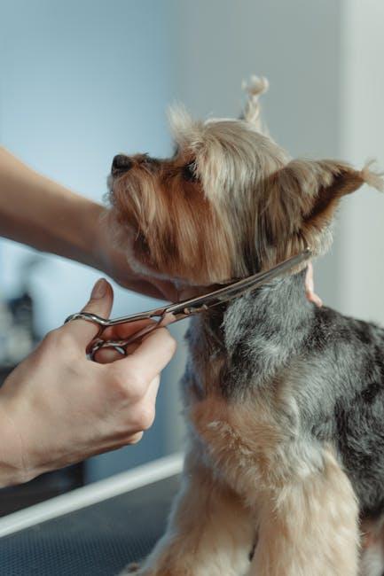 Choosing the Right Tools for a Stress-Free Grooming Experience